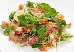 Scallop and Watercress Salad -