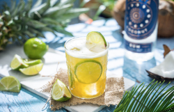 Shake Up The PiÃƒÂ±a Colada With Aluna Coconut -