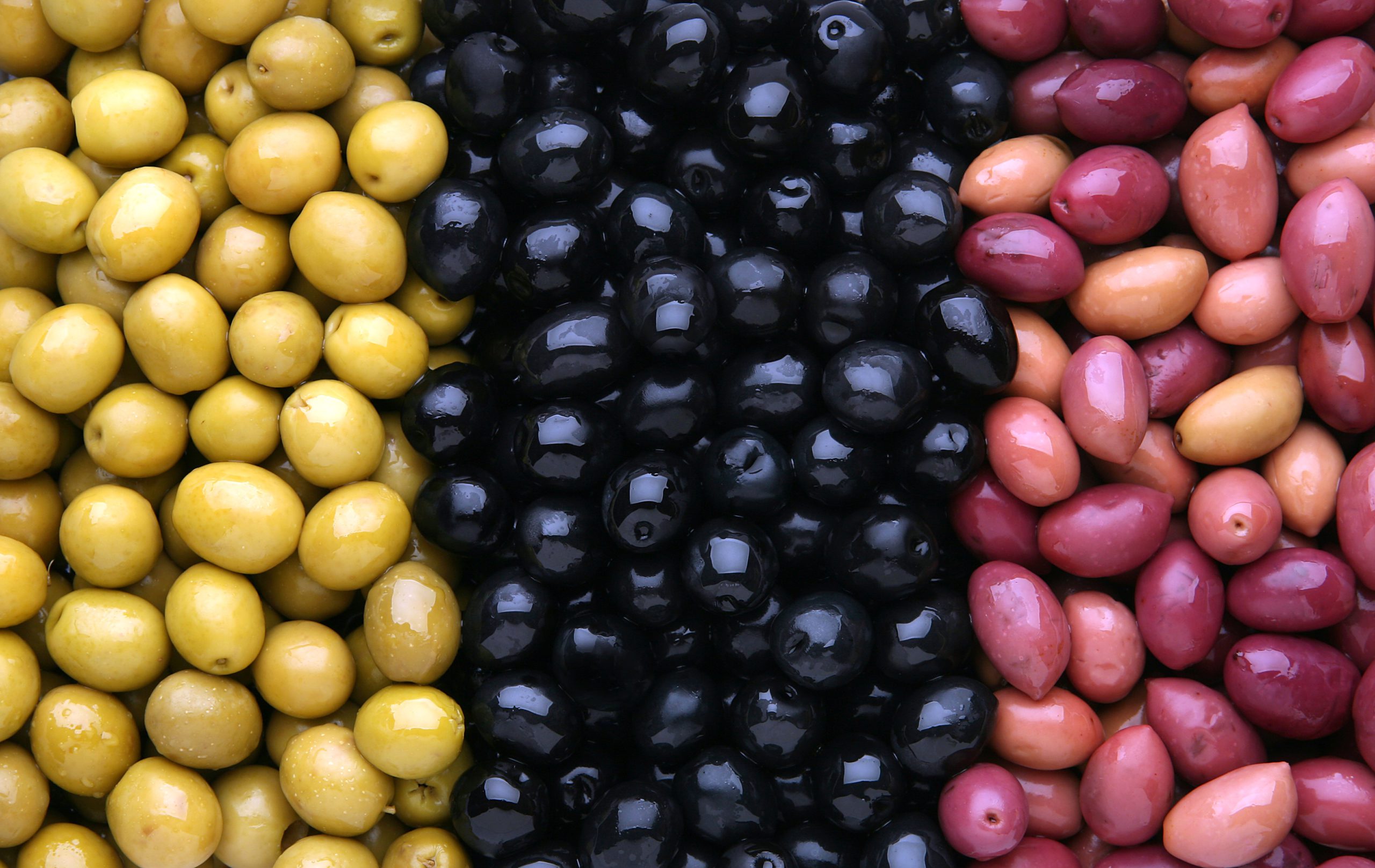 Olives From Spain. Olives With An Accent
