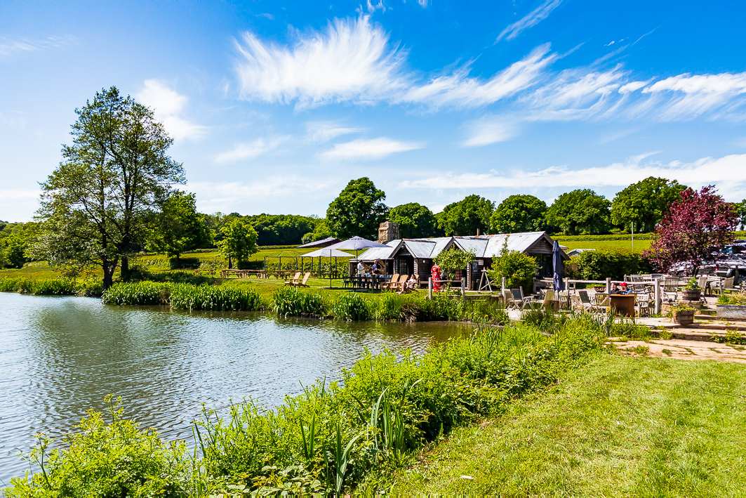 A drop by the lake. Lakedown Brewing’s food and beer tasting preview