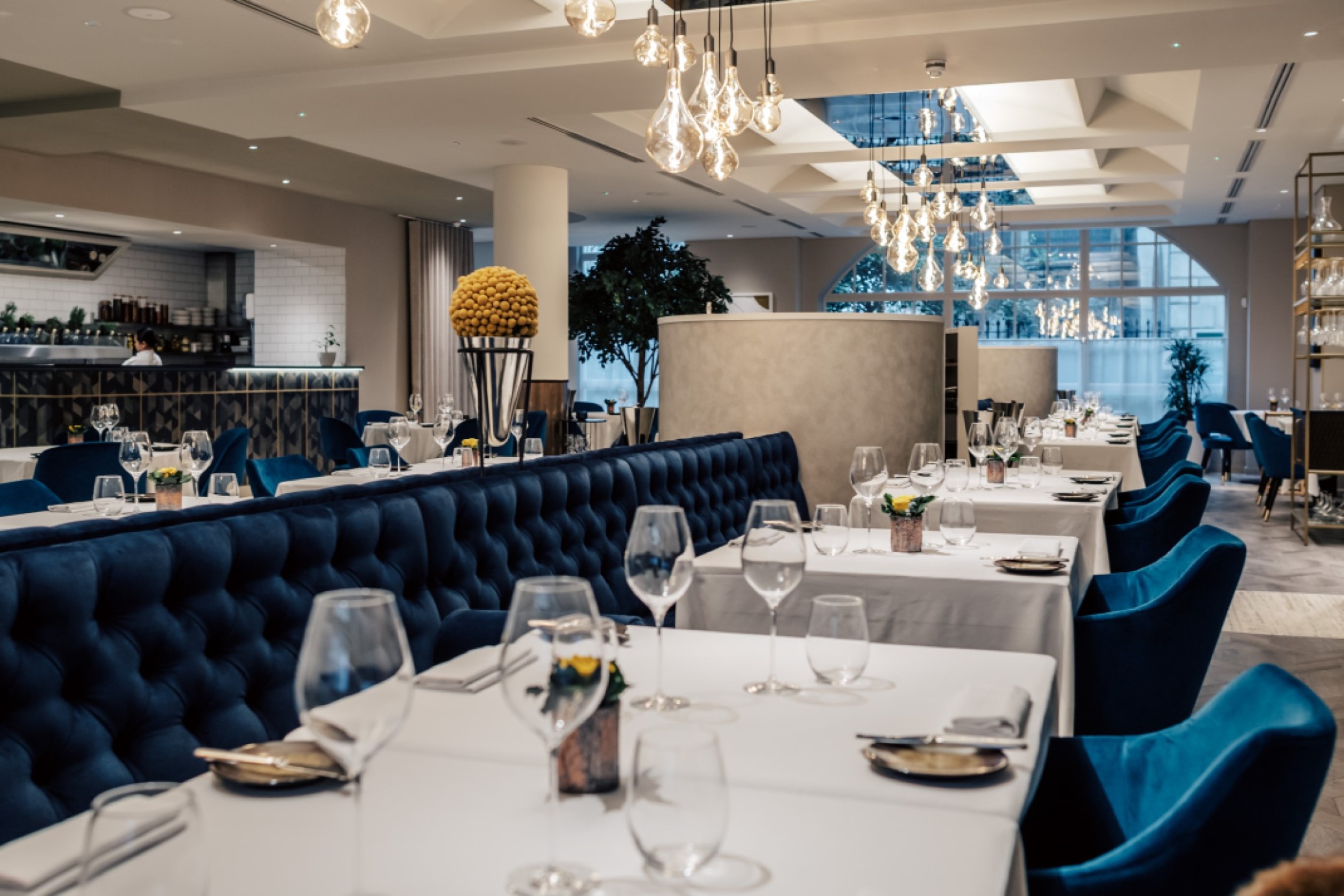 CORD by Le Cordon Bleu Review