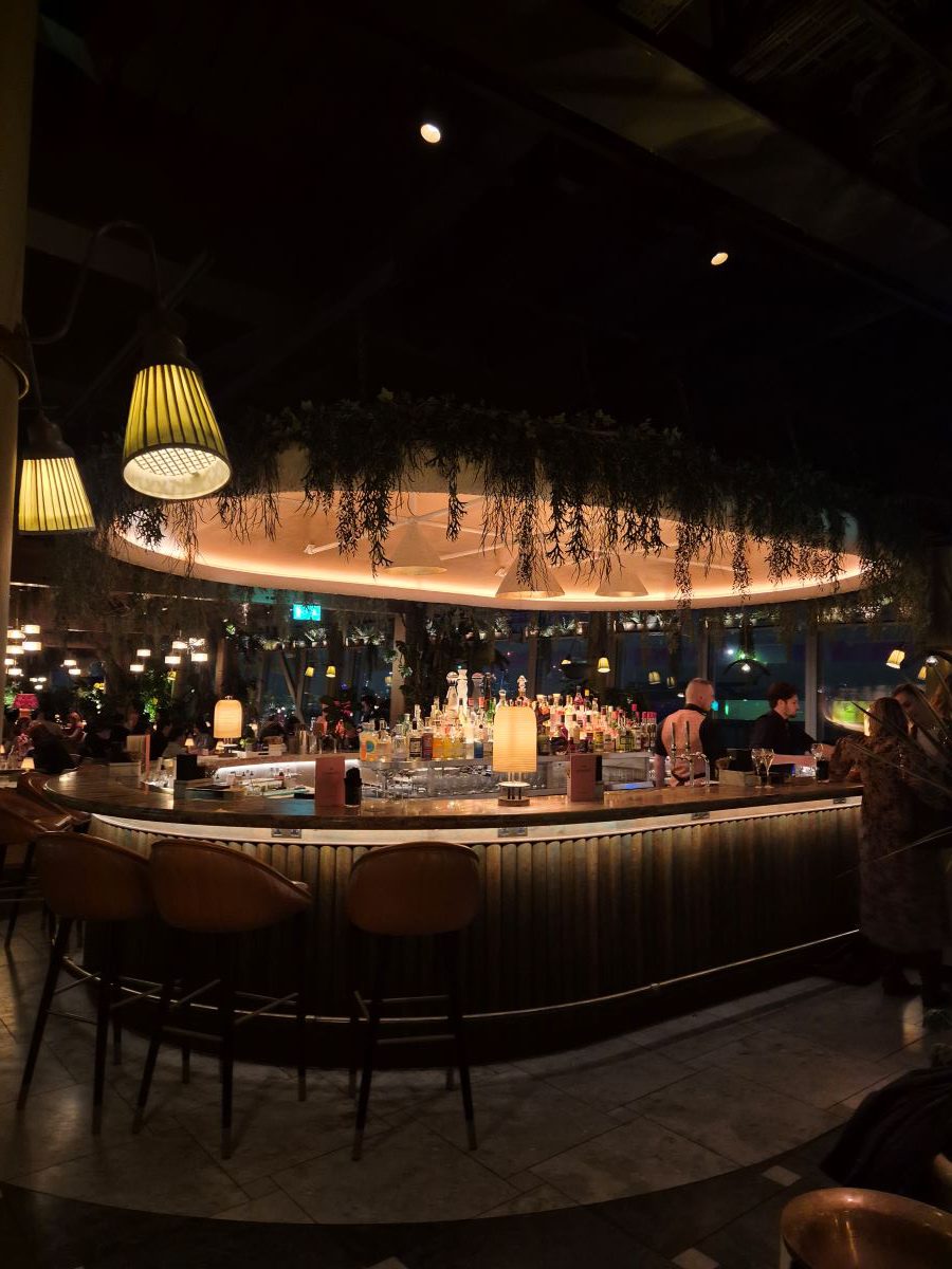 An Evening at 14 Stories, Review