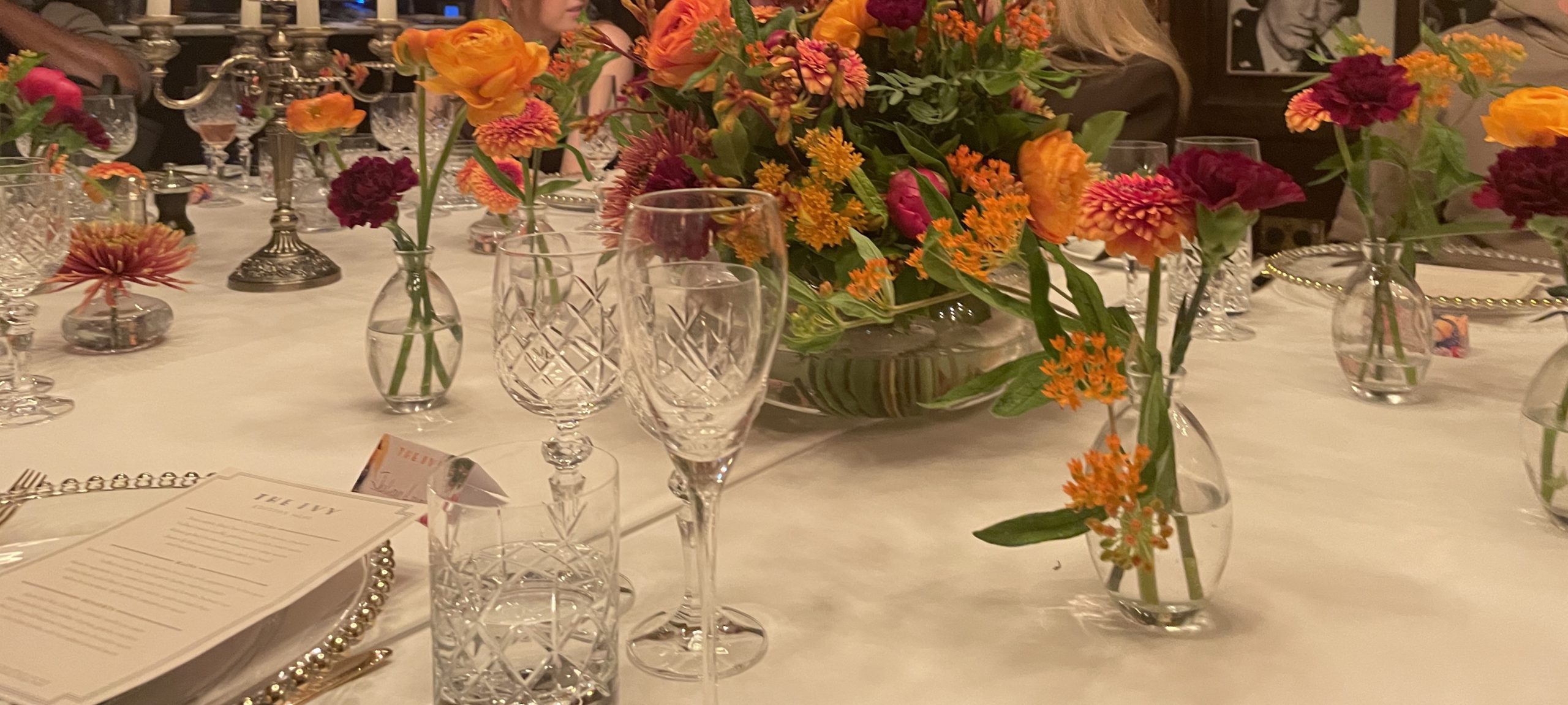 The Ivy Collection Unveils The Ivy Edition -