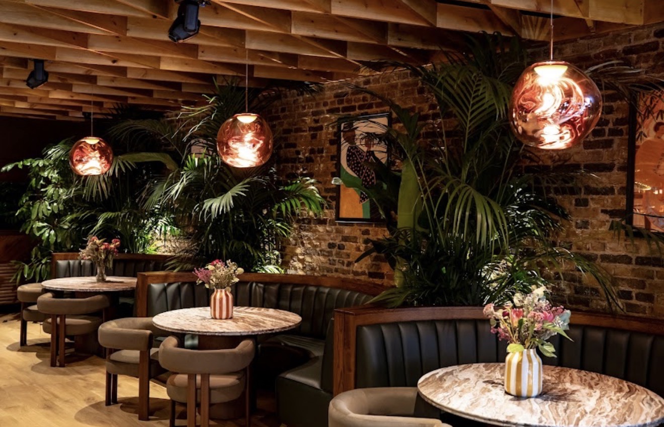 Mimosa Clapham, Review -
